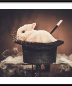 Plakát králík v klobouku