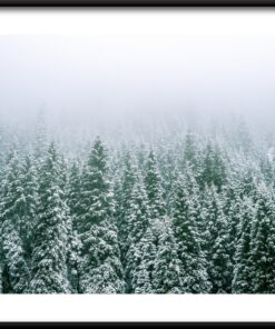 Zimní lesní plakát