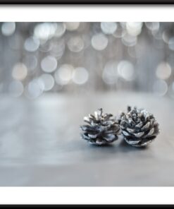 Stříbrné kužely plakát