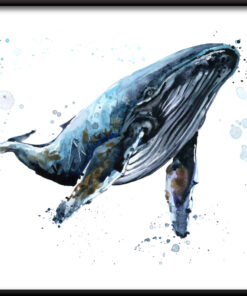 Plakát mořských zvířat