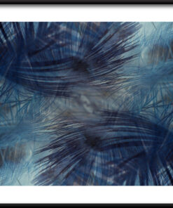 Námořnické modré peří plakát