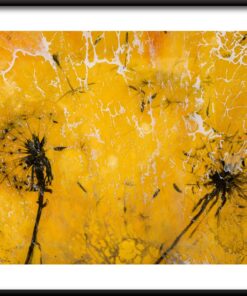 Žluté pampelišky plakát