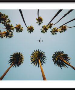 Plakát Letadlo Nad Palmami