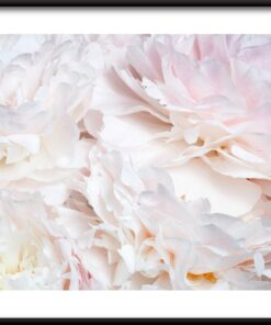 Světlé okvětní lístky plakát