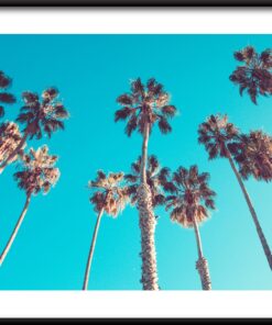 Plakát Palmový les