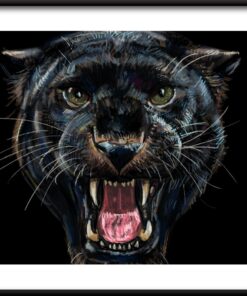 Plakát Černá šelma