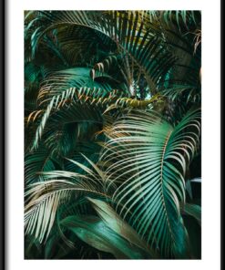 Plakát palmové listy 2