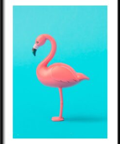 Plakát s profilem plameňáků