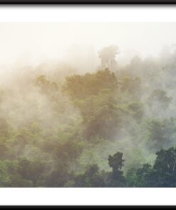 Plakát Les za mlhou 2