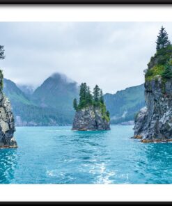 Strom Na Skalách Plakát