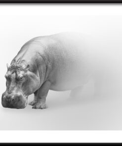 Plakát Hroch v mlze