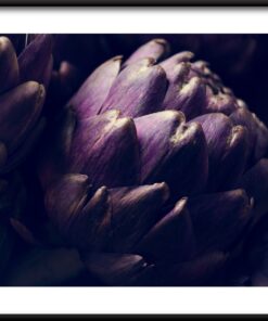 Černý artyčok plakát