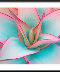 Pastelový plakát z agáve