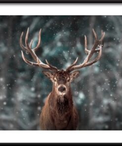 Krása jelen plakát 2