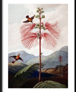 Plakát Paradise Tree