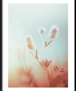 Rostlina V Mlze Plakát