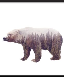 Plakát divokého medvěda