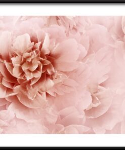 Jemné okvětní lístky plakát