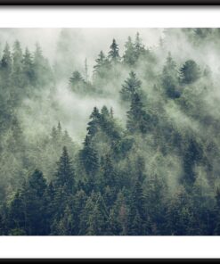 Mlha mezi stromy plakát