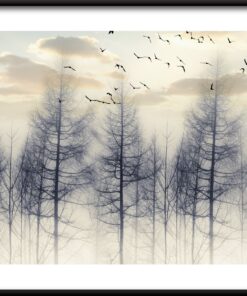 Plakát Ptáci mezi stromy