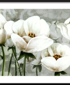 Bílé tulipány plakát