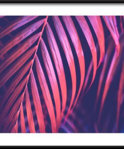 Plakát Pink Palm 2
