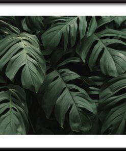 List tlustší plakát