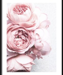 Pivoňka kytice plakát