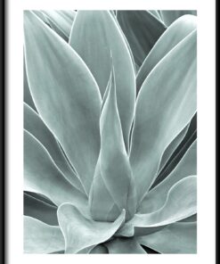 Agávově zelený plakát