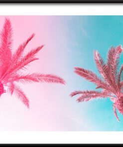 Letní palmy plakát