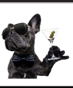 Pes s pitím plakát