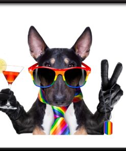 Barevný pes plakát 2