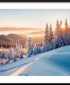 Zimní slunce plakát 2