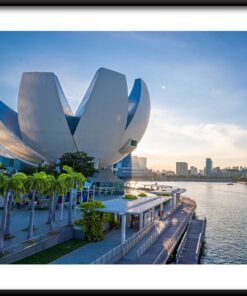 Městský květinový plakát