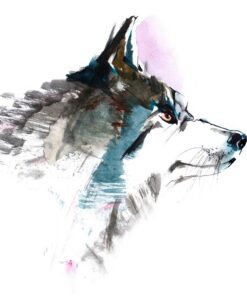 Fototapeta Malovaný vlk