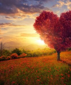 Fototapeta Červené srdce 2