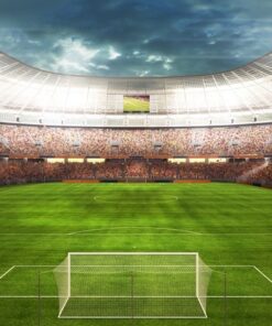 Fototapeta Fotbalový stadion 2