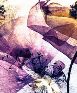 Fototapeta Vlčí máky v ultrafialovém světle