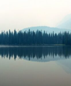 Fototapeta Misty lake