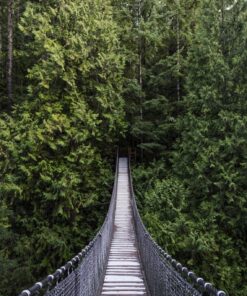 Fototapeta Most mezi stromy