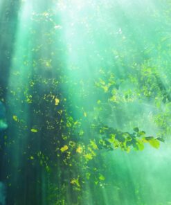 Fototapeta Green Rays