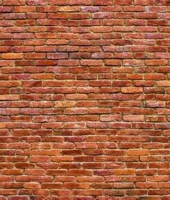 Fototapeta Cihlová zeď
