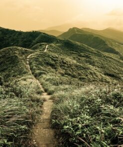 Fototapeta Horská cesta 2