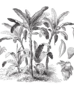 Samolepka na stěnu Tropické stromy 3