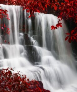 Fototapeta Vodopád a listí