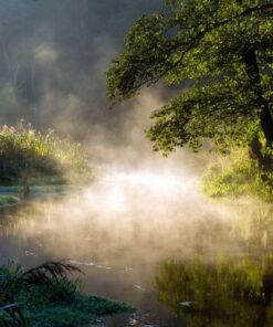 Fototapeta Ráno nad Supraśl
