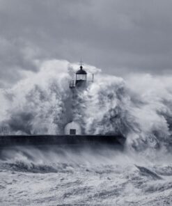 Fototapeta Storm and Lantern