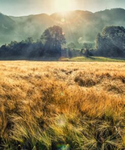 Fototapeta Divoká krajina