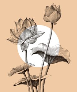 Samolepka na zeď Lotosové květy 3