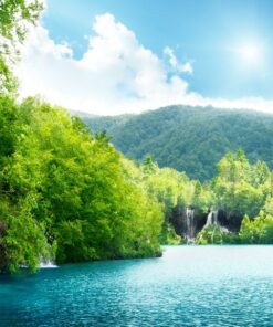 Fototapeta Forest Lake